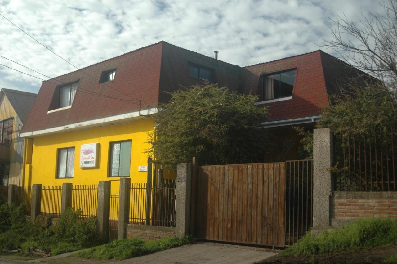 Hostal Casona Del Cerro Constitución Eksteriør billede